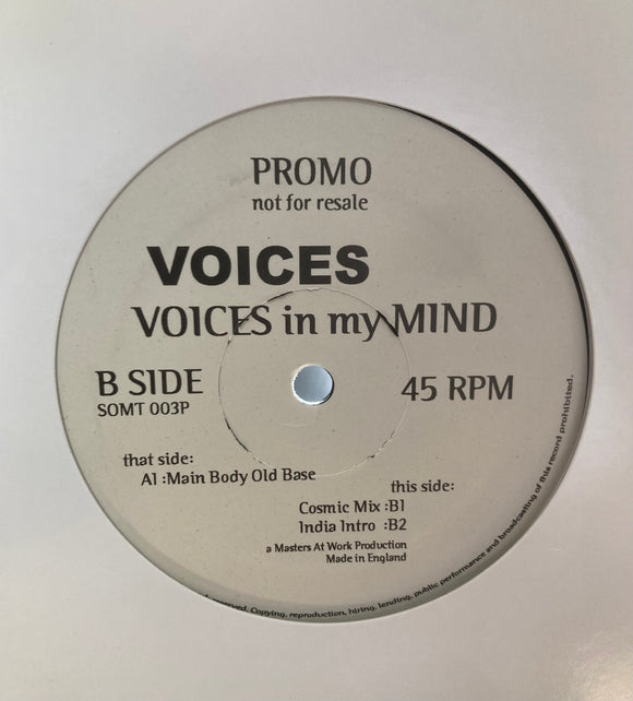 Voices - Voices In My Mind