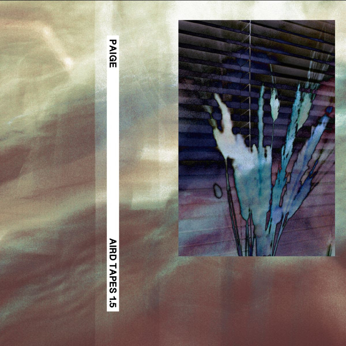 Paige - Aird Tapes 1.5 [Cassette]