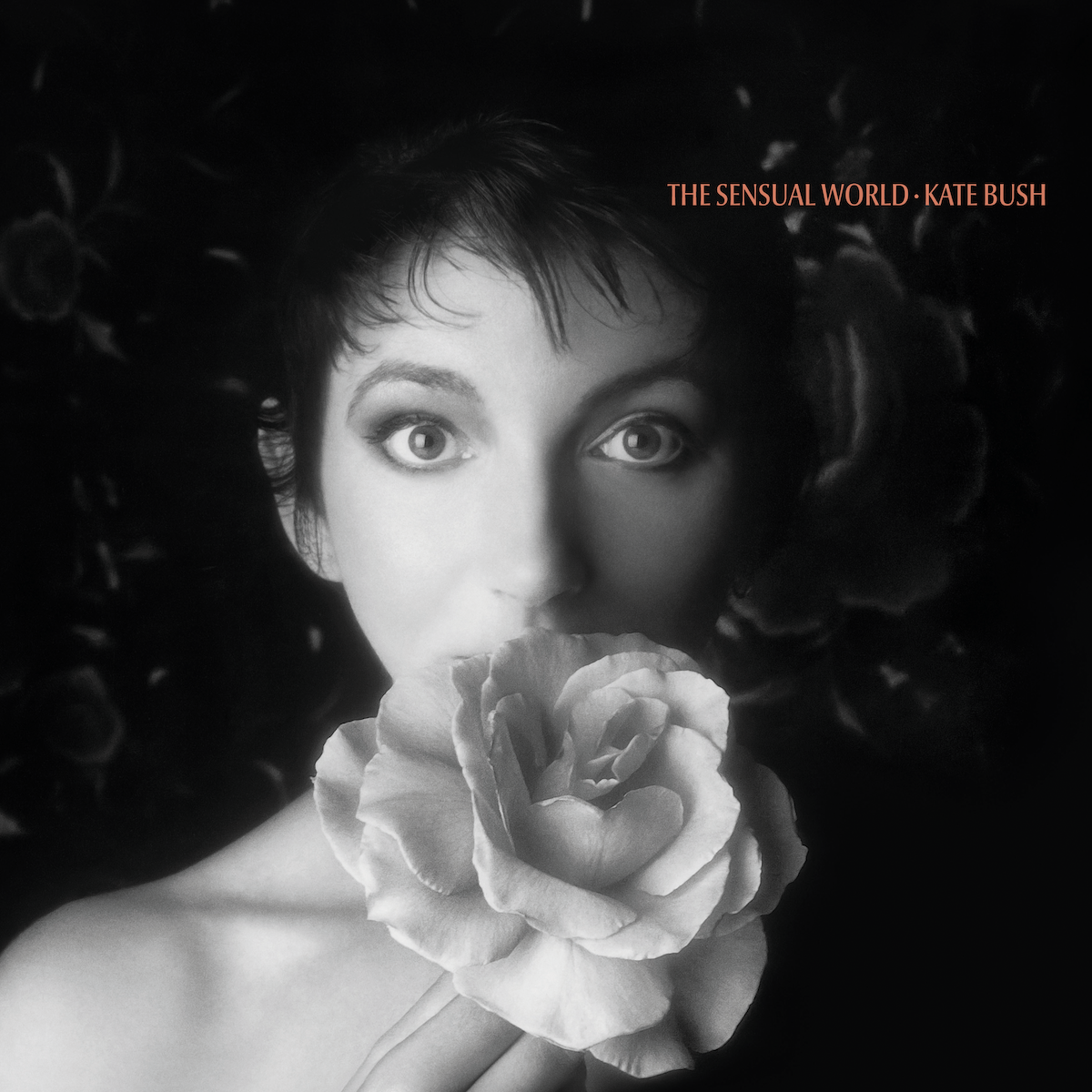 Kate Bush - The Sensual World (2018 Remaster) [Ash Grey vinyl]
