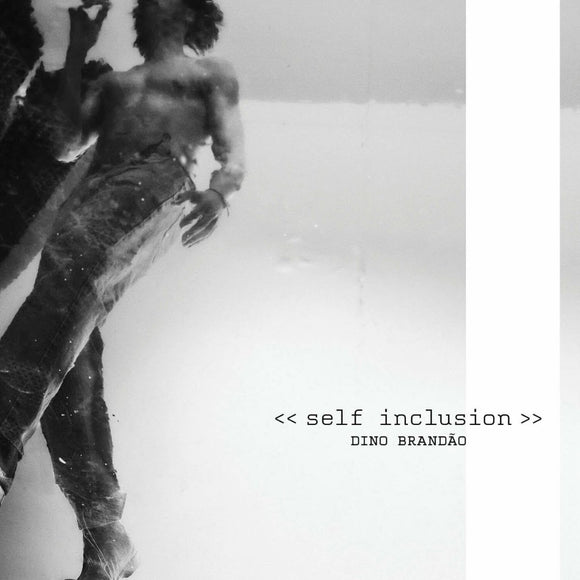 Dino Brandão - Self-Inclusion [CD]