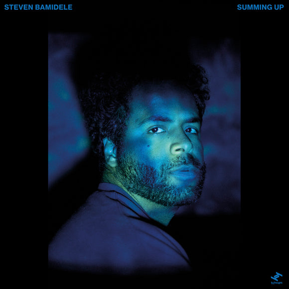 Steven Bamidele - Summing Up