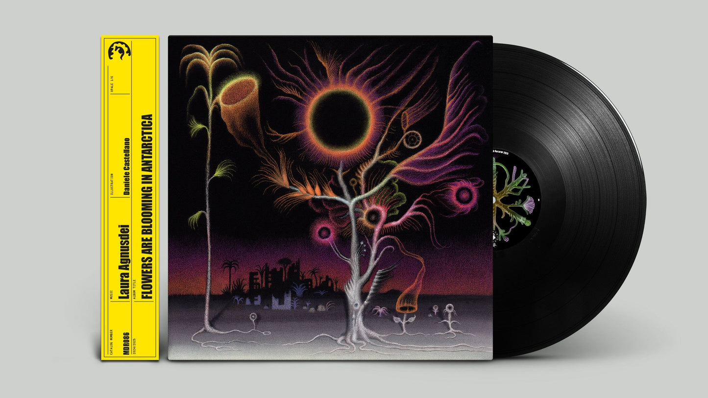 Laura Agnusdei - Flowers Are Blooming In Antarctica