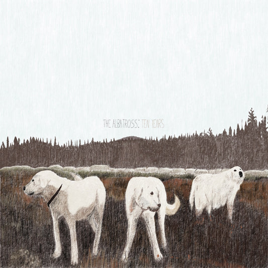 Foxing - The Albatross: Ten Years (Brown Vinyl)