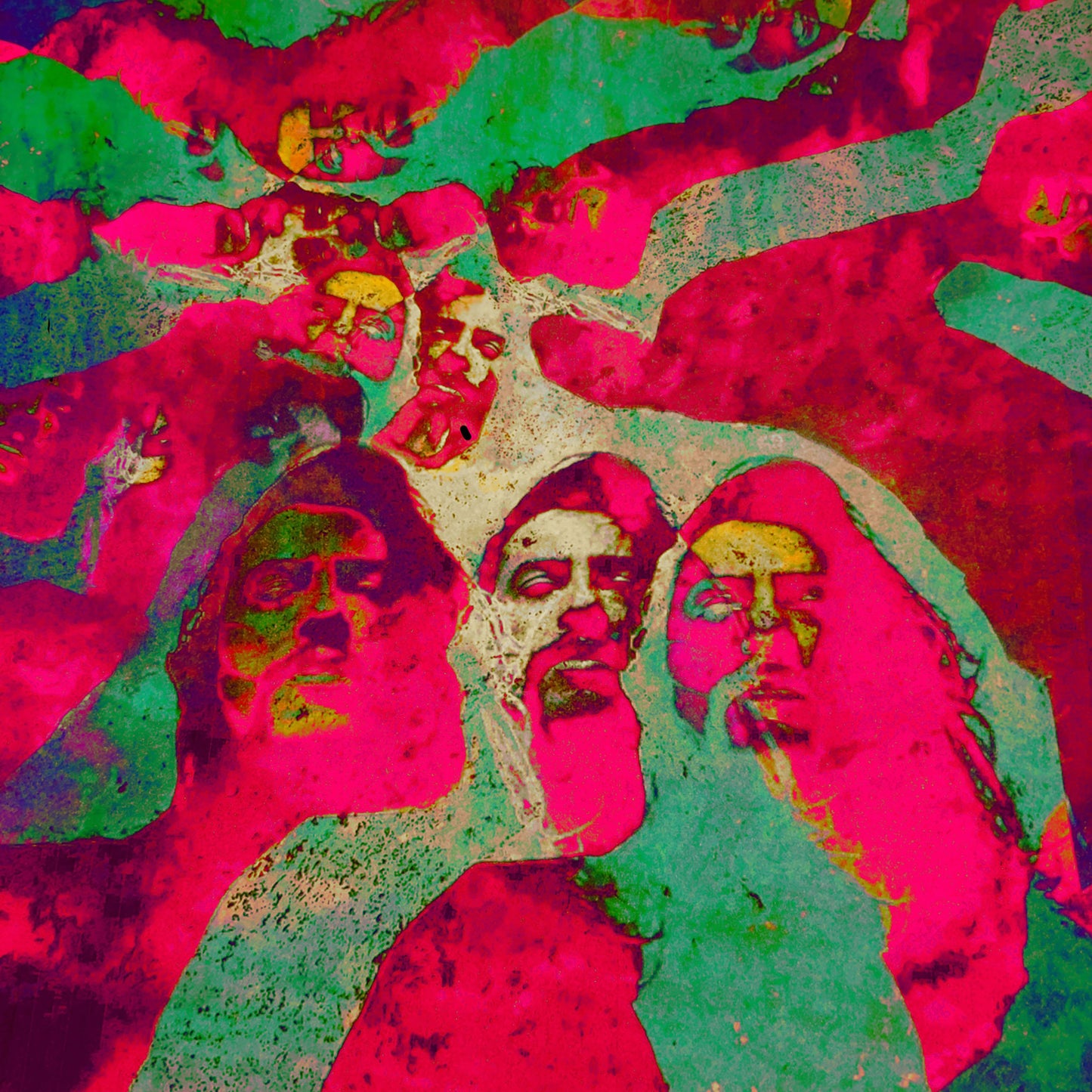 Dimorphodons - Waui [LP]