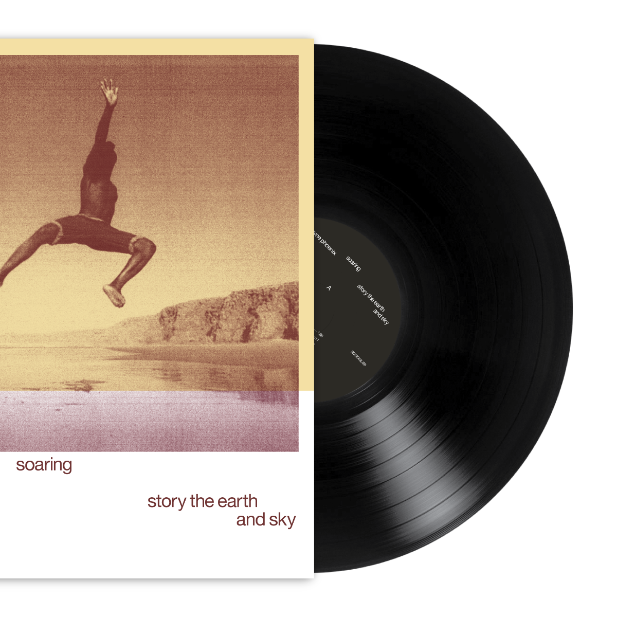 Wayne Phoenix - soaring wayne phoenix story the earth and sky