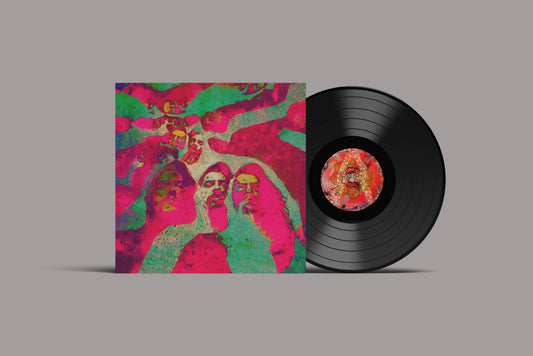 Dimorphodons - Waui [LP]