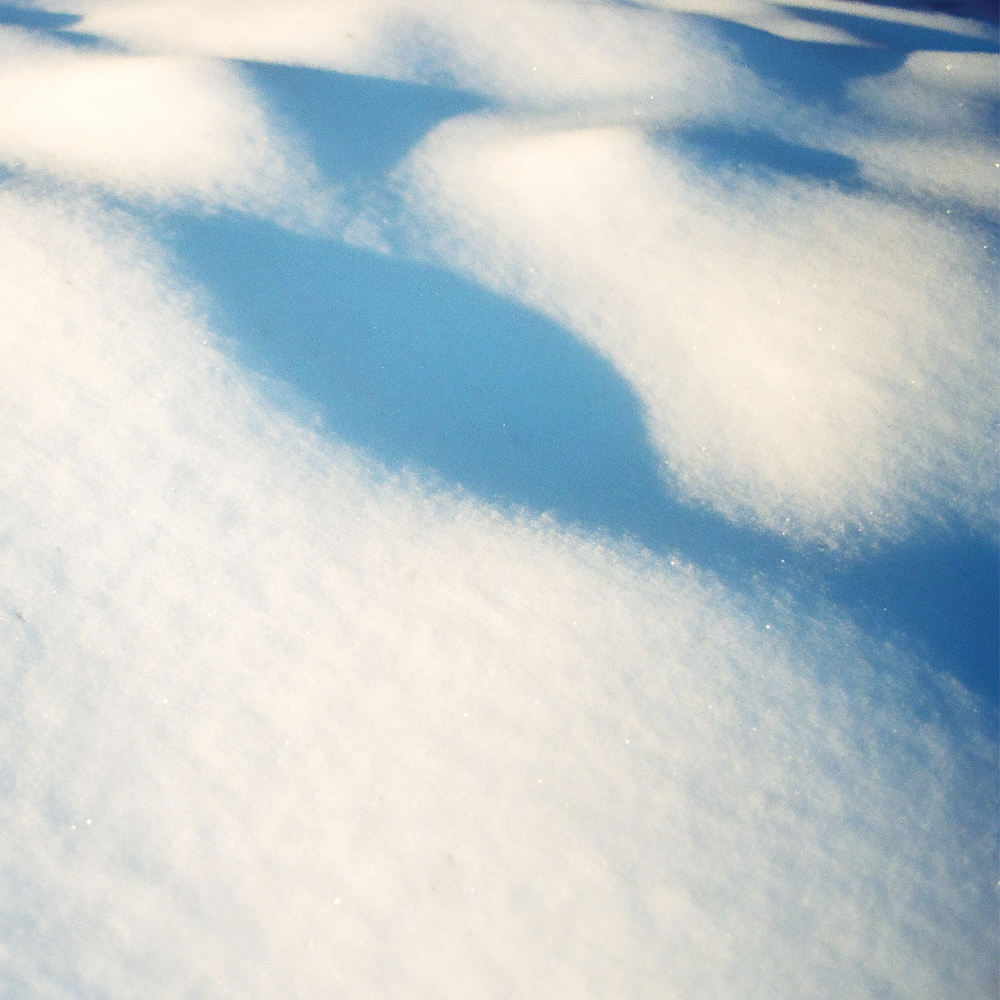 Flore Laurentienne - 8 Tableaux [LP]