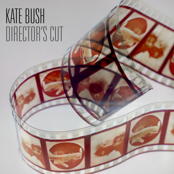 Kate Bush - Director's Cut (2018 Remaster) [Black vinyl 2LP]