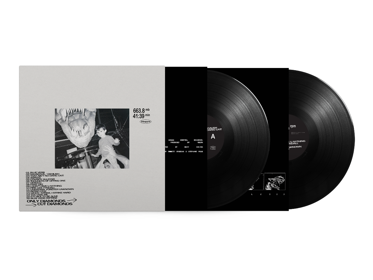 Vegyn - Only Diamonds Cut Diamonds (5 Year Anniversary Repress) [2LP]
