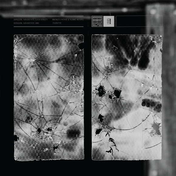 Dogger & Mindstate - Broken Home (Calibre Remix) / TMWFTE