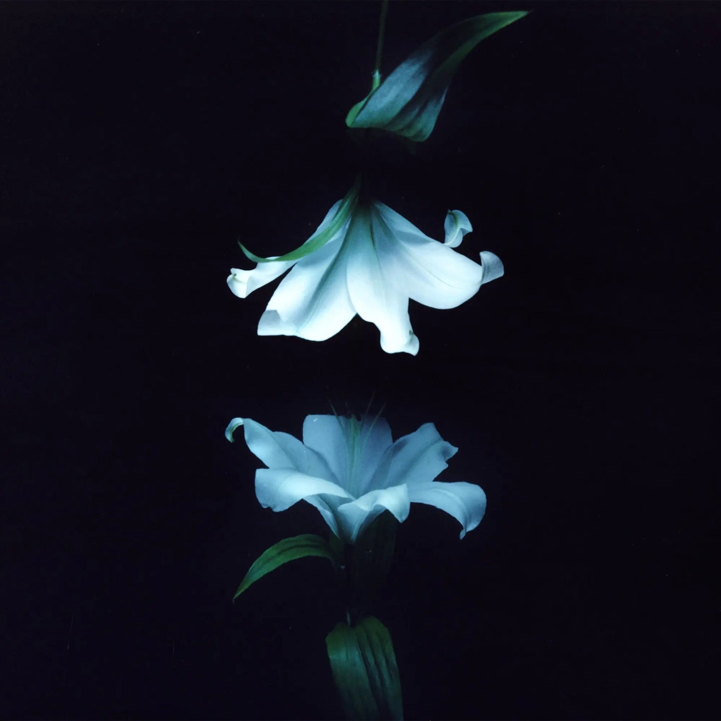 Wasia Project - Nocturne [Blue 2x12" Vinyl]