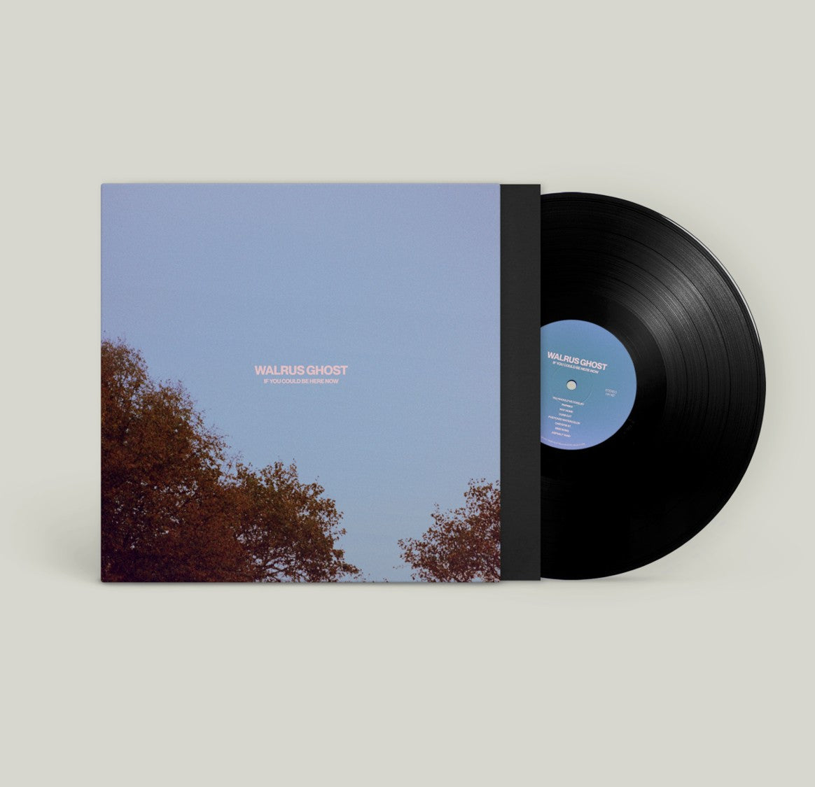 Walrus Ghost - If You Could Be Here Now