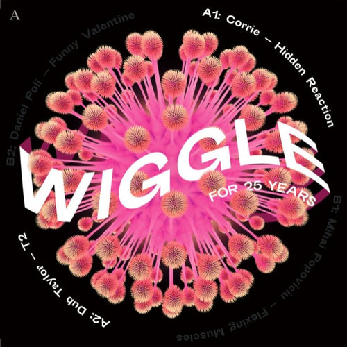 Various Artists (Inc. Corrie / Dub Taylor / Mihai Popoviciu / Daniel Poli) - Wiggle for 25 Years Sampler