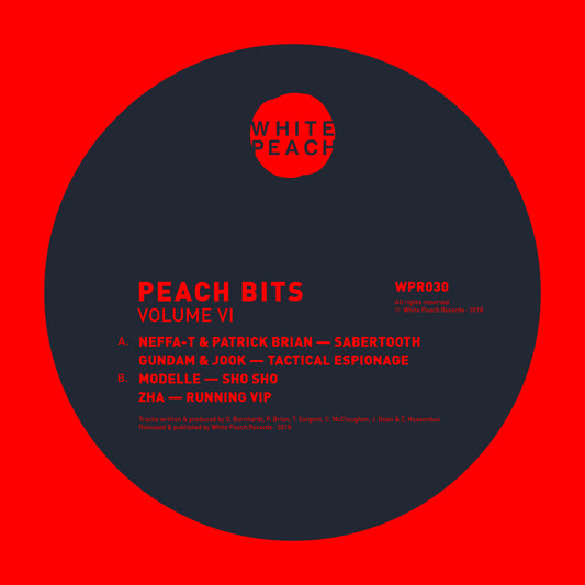 Neffa-T / Patrick Brian / Gundam / Jook / Modelle / Zha - Peach Bits Vol 6
