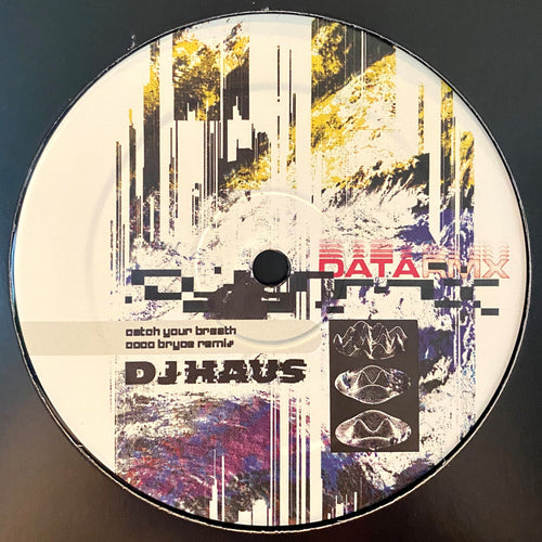 DJ Haus - Coco Bryce & Desert Sound Colony Remixes [Ltd 12"Vinyl]