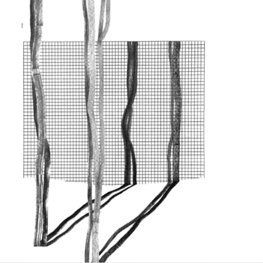 Various Artists - Systema Naturae II