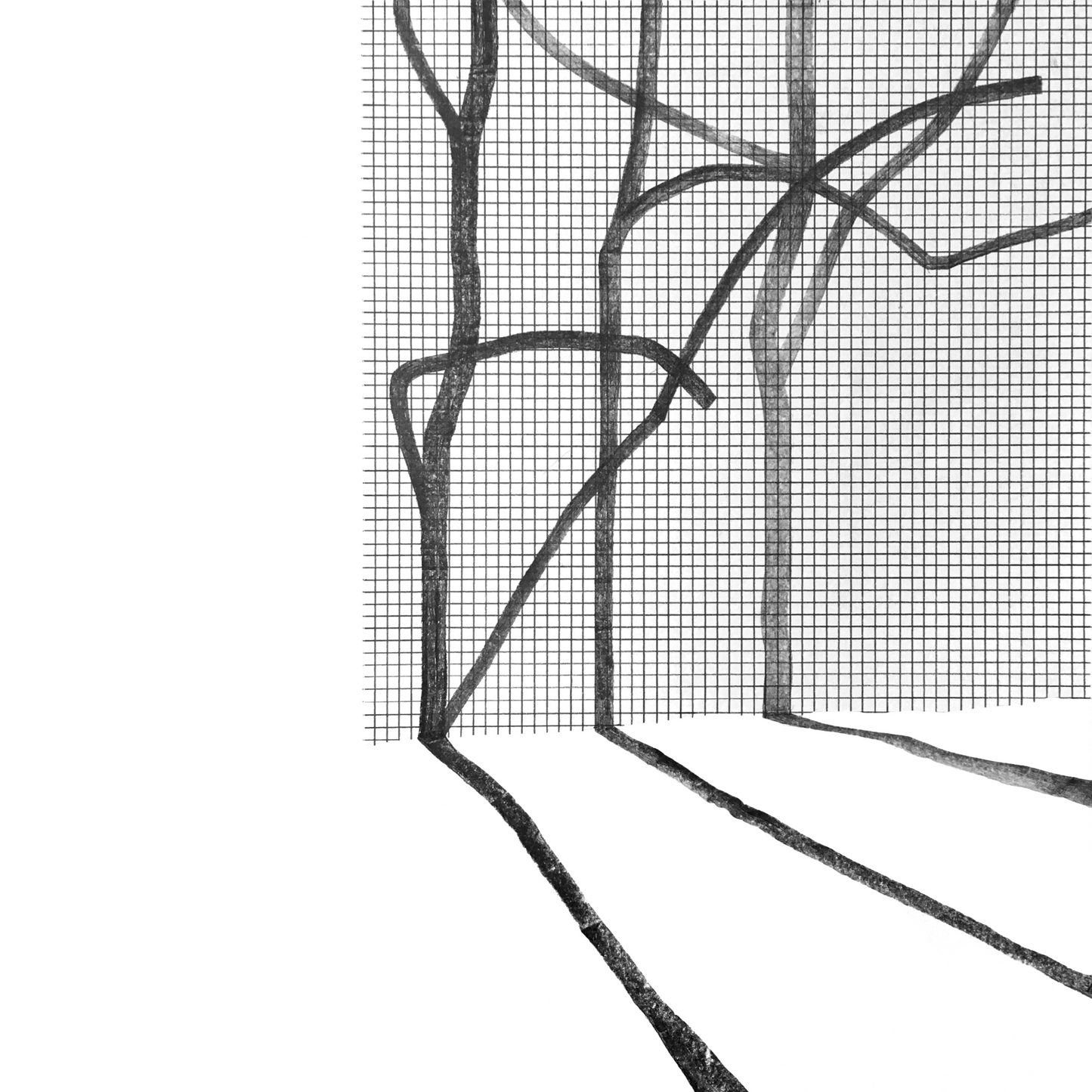 VARIOUS ARTISTS - SYSTEMA NATURAE III