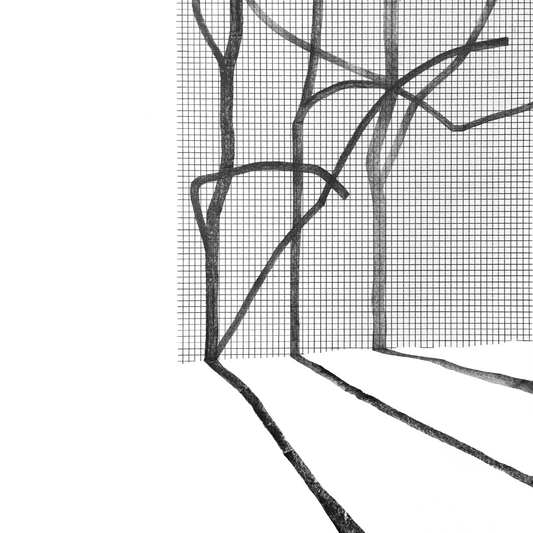 VARIOUS ARTISTS - SYSTEMA NATURAE III