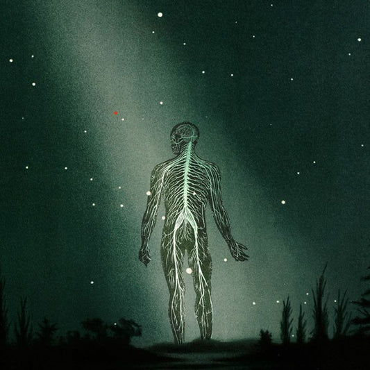 Prophetas - Maury Island Reverie