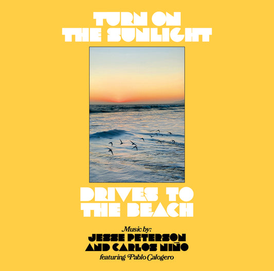 TURN ON THE SUNLIGHT - DRIVES TO THE BEACH LP
