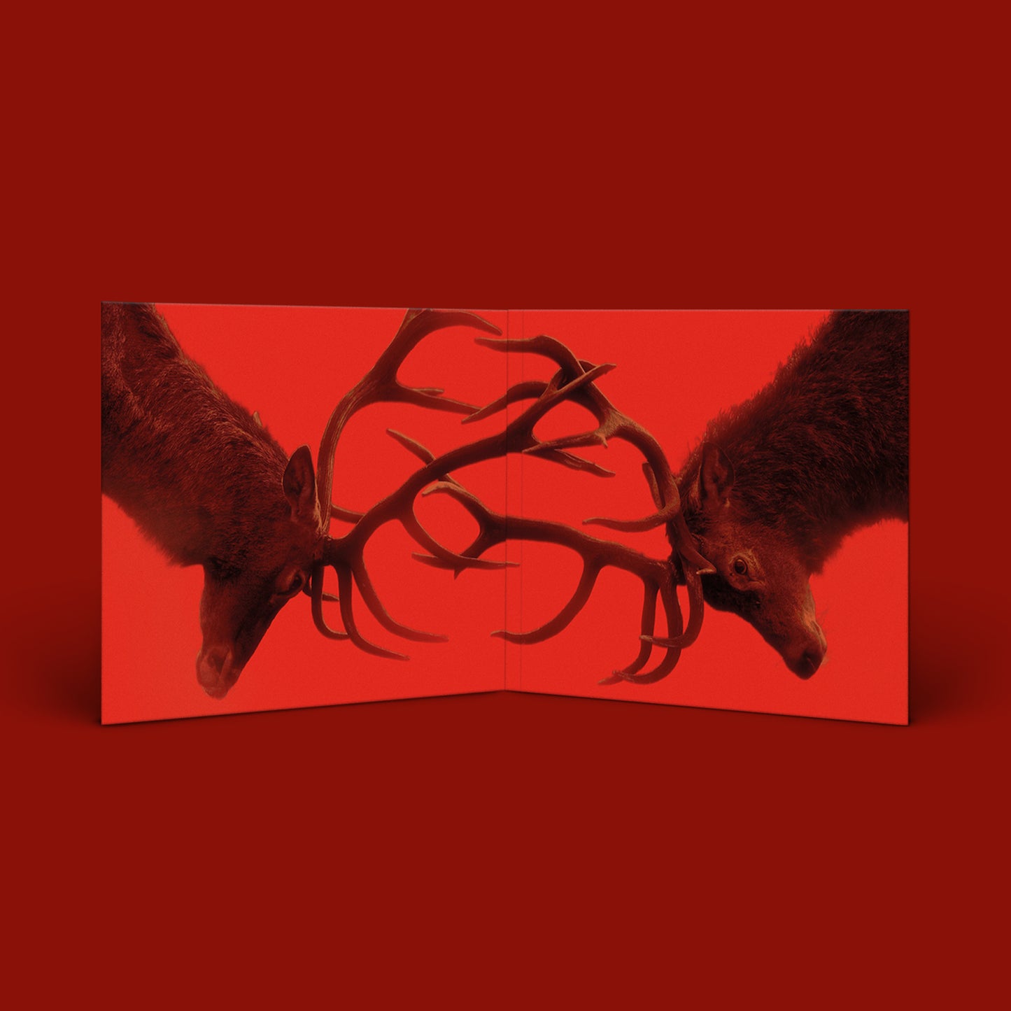 Fontaines D.C. - Skinty Fia [CD]