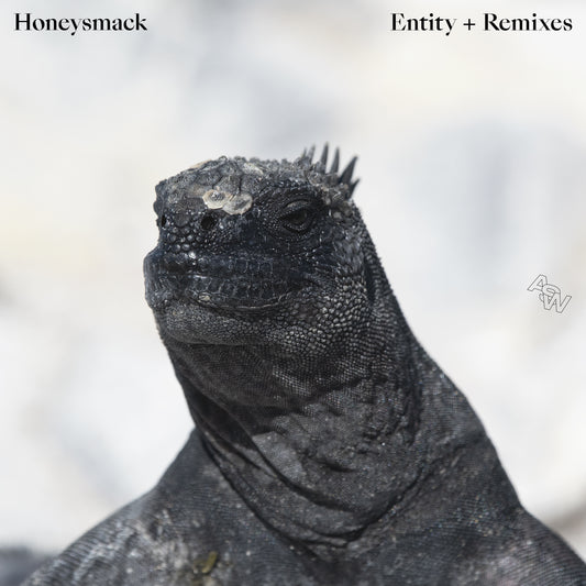 Honeysmack - Entity (Remixes)