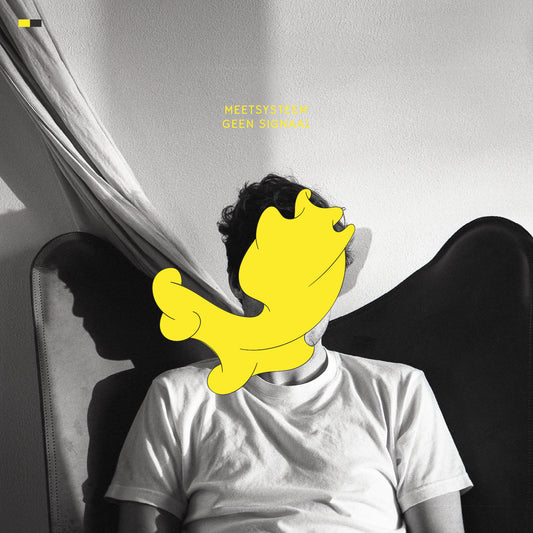 Meetsysteem - Geen Signaal [Repress]