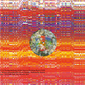 Four Tet - Teenage Birdsong - (One Per Person)
