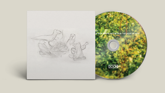 BIG THIEF - Dragon New Warm Mountain I Believe In You [CD]