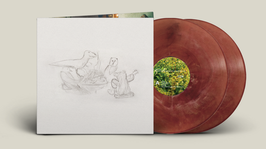 BIG THIEF - Dragon New Warm Mountain I Believe In You [Eco-Friendly Colour Vinyl 2LP]