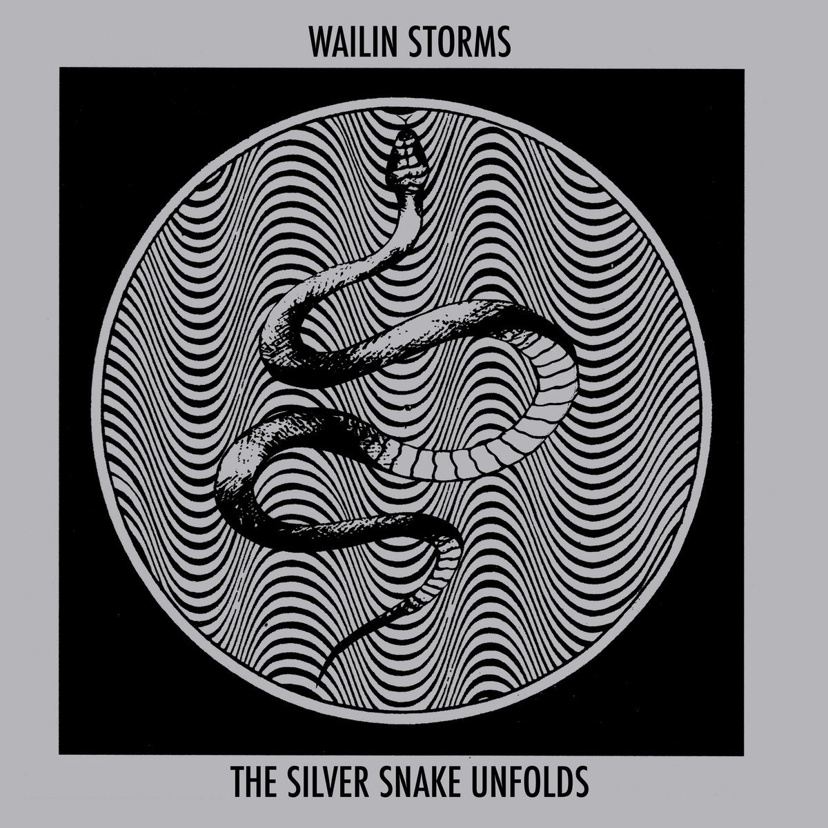 Wailin Storms - The Silver Snake Unfolds [CD]