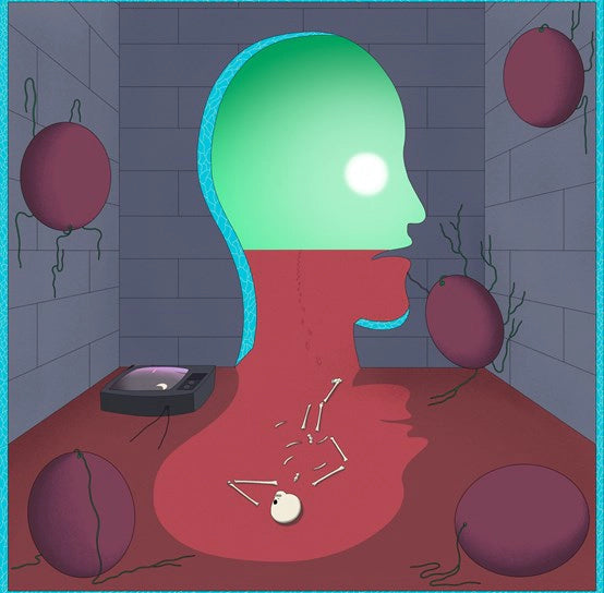 JAPANESE TELEVISION - SPACE FRUIT VINEYARD (REMIXED)
