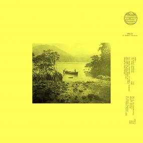 SHELTER - LE SOMMEIL VERTICA