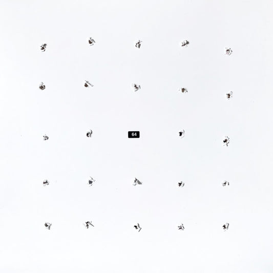 Ian William Craig & Kago - Split Series 24