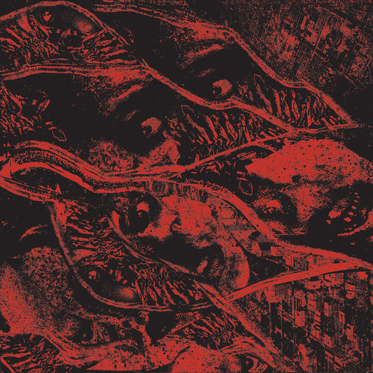 Vermin Womb - Retaliation [Vinyl]