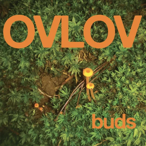 Ovlov - Buds [Random Colour Vinyl]