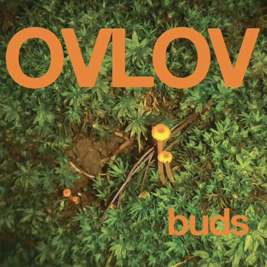 Ovlov - Buds [Random Colour Vinyl]