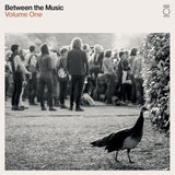 Various Artist - End of the Road Presents: Between The Music [2LP]
