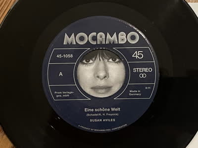 Susan Aviles - Eine schöne Welt