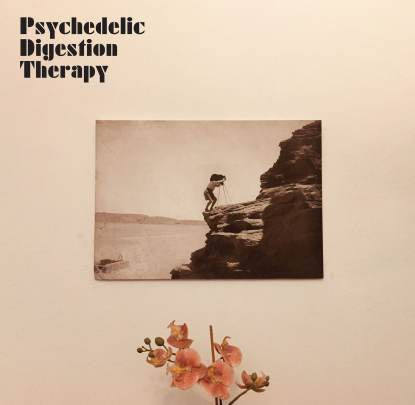Psychedelic Digestion Therapy - Psychedelic Digestion Therapy (LP)