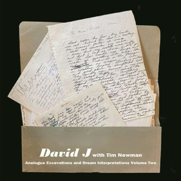 David J w/ Tim Newman - Analogue Excavations & Dream Interpretations Vol 2 [Milky Clear Vinyl]