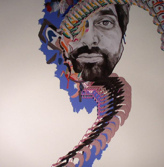 ANIMAL COLLECTIVE - PAINTING WITH
