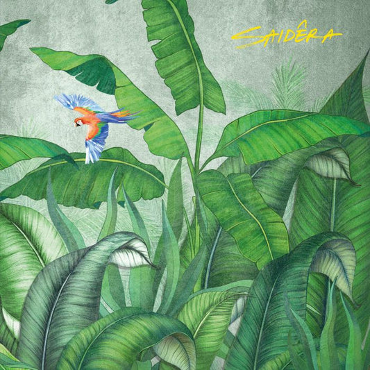 Saidera - Luzes Da Cidada