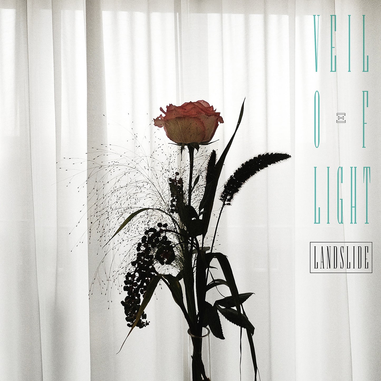 Veil Of Light – Landslide