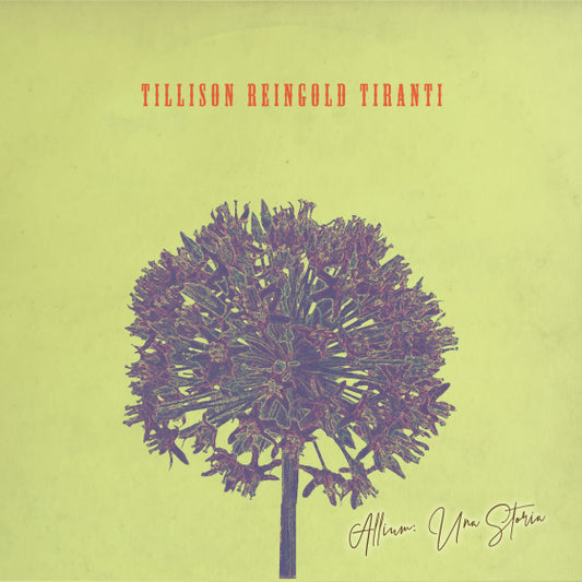 TILLISON REINGOLD TIRANTI - ALLIUM;UNA STORIA