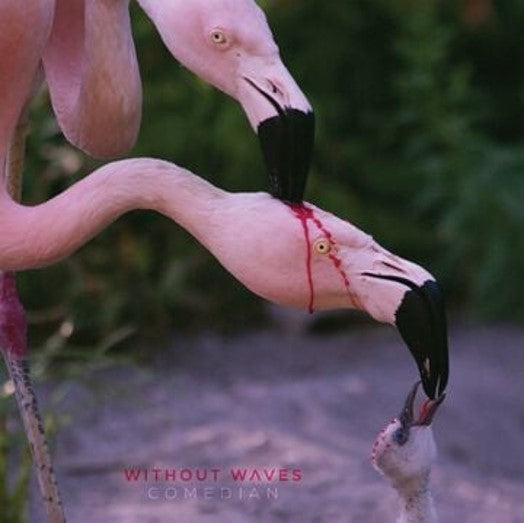 Without Waves - Comedian [Pink w/ Red & Black Splatter Vinyl]