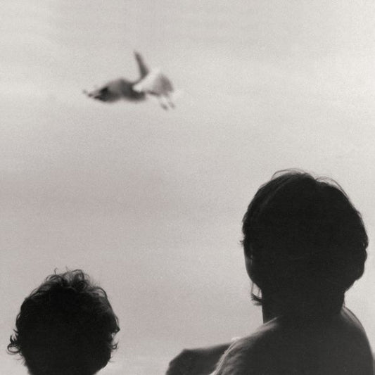 FEDERICO ALBANESE - BEFORE AND NOW SEEMS INFINITE [LP]