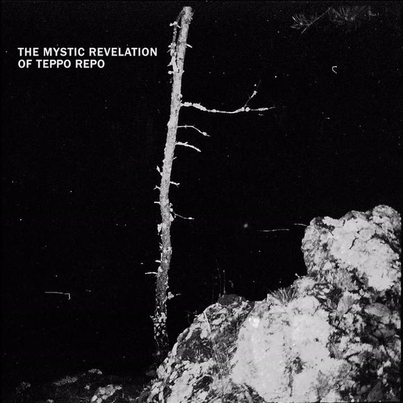 The Mystic Revelation of Teppo Repo - Kosmoksen erakko