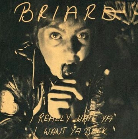 Briard - I Really Hate Ya