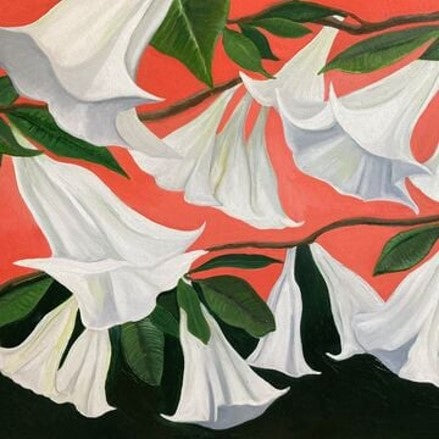 Danny George Wilson - Another Place [CD]